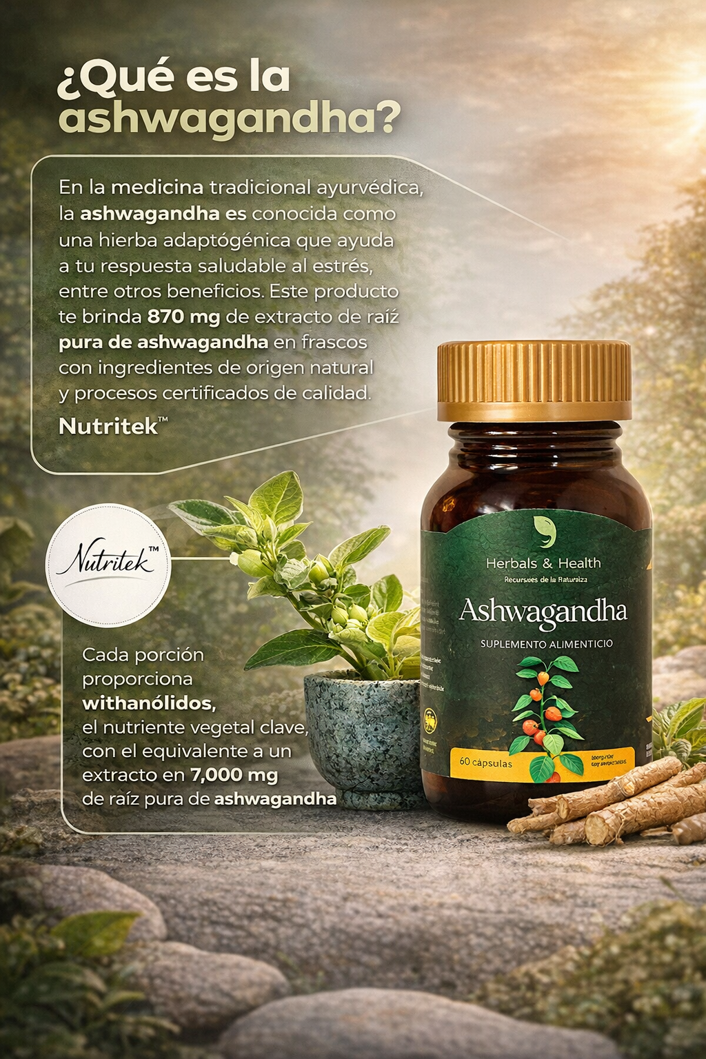 ASHWAGANDHA - ADAPTÓGENO - NATURAL