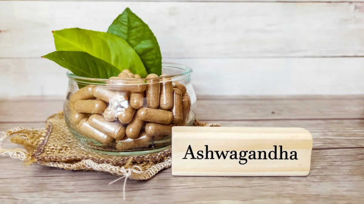 ASHWAGANDHA - ADAPTÓGENO - NATURAL